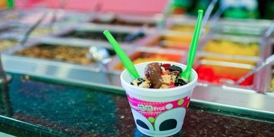 Sweet Frog Frozen Yogurt